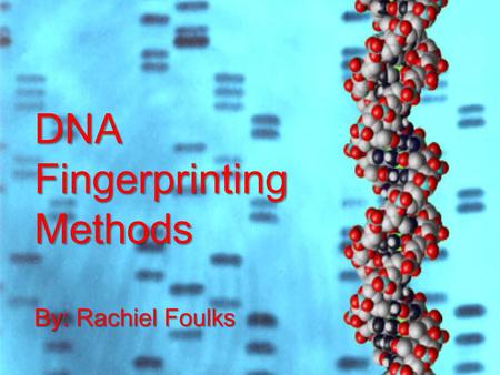 DNA Fingerprinting Methods By: Rachiel Foulks.