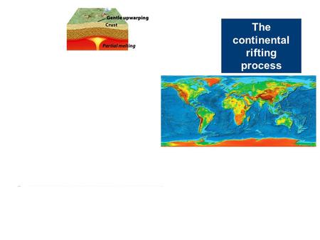 The continental rifting process