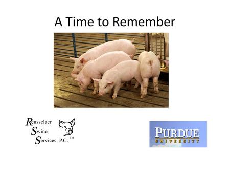 A Time to Remember. The Most Significant Industry Changes Over the Last 20 Years 1.Production facilities 2.Genetics 3.Nutrition 4.Industry structure 5.Export.