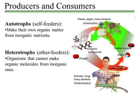 Producers and Consumers