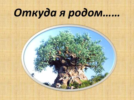 Откуда я родом……. М едиа-альбом МОУ «СОШ №2» г. Корсаков 5а класс.