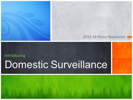 introducing Domestic Surveillance