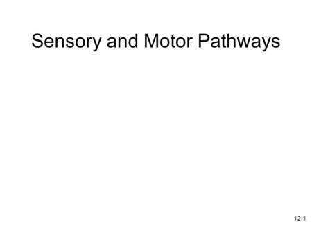 Sensory and Motor Pathways