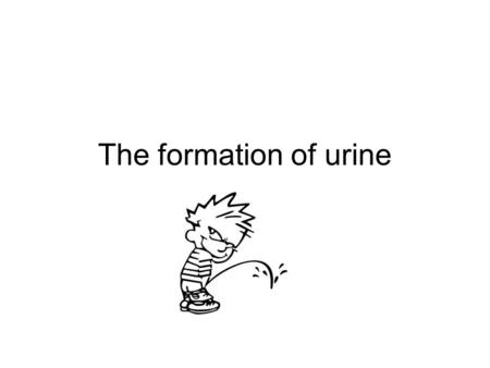 The formation of urine.