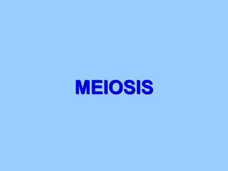 MEIOSIS.