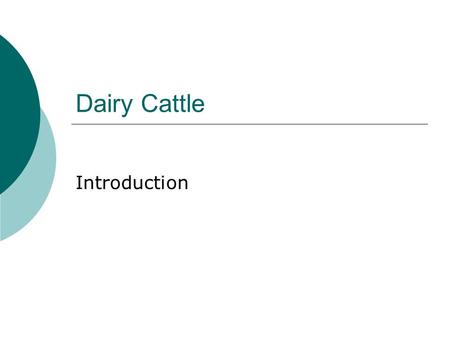 Dairy Cattle Introduction.