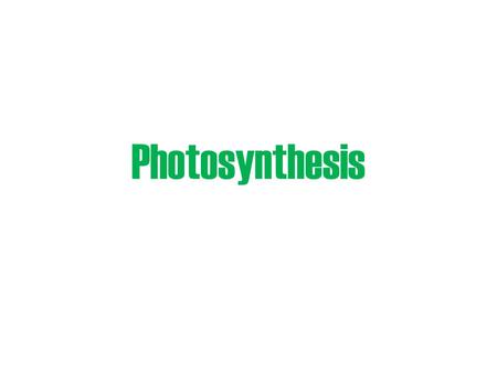 Photosynthesis.