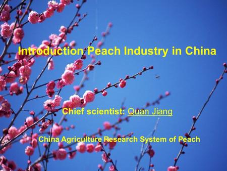 Introduction Peach Industry in China China Agriculture Research System of Peach Chief scientist: Quan Jiang.