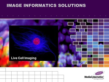 IMAGE INFORMATICS SOLUTIONS Live Cell Imaging. All About Live Cell Imaging Study & understanding the structure, function, and behavior of living organisms,