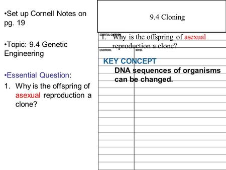 Set up Cornell Notes on pg. 19