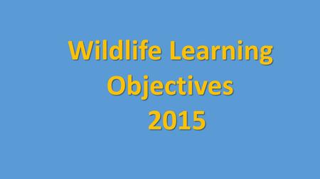 Wildlife Learning Objectives 2015 2015. Birds, Mammals, Amphibians and Reptiles Species Identification: Identify wildlife species common to NS and the.