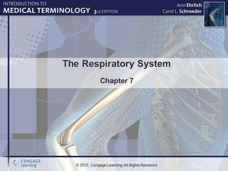 The Respiratory System