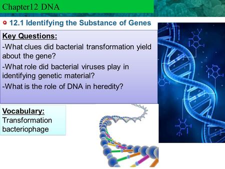 12.1 Identifying the Substance of Genes