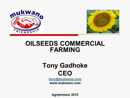 OILSEEDS COMMERCIAL FARMING