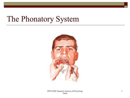 SPPA 2050 Speeech Anatomy & Physiology Tasko