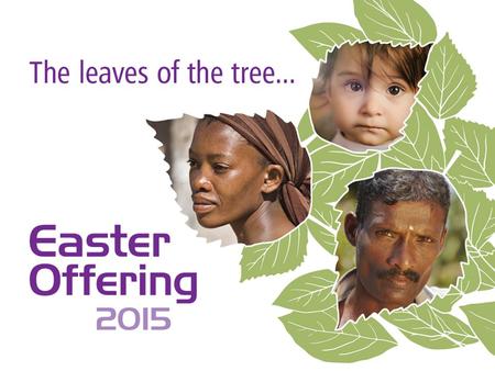 The tree of life (logo of the World Federation of Methodist & Uniting Church Women) A symbol of unity for women around the world.