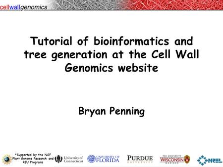 Supported by the NSF Plant Genome Research and REU Programs *Supported by the NSF Plant Genome Research and REU Programs Tutorial of bioinformatics and.