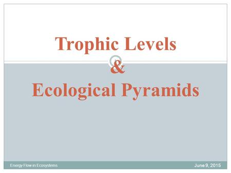 Trophic Levels & Ecological Pyramids June 9, 2015 Energy Flow in Ecosystems 1.