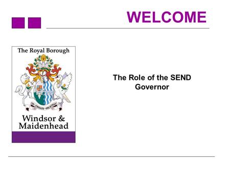 The Role of the SEND Governor