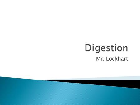 Mr. Lockhart.  Break down food  Absorb Nutrients  Remove waste.