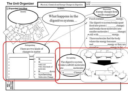 + + + What happens in the digestive system… __________ __________