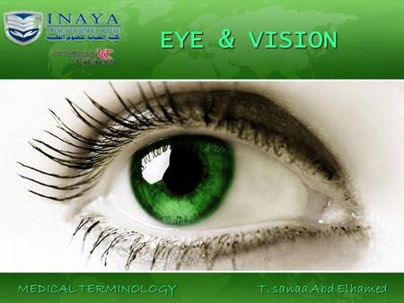 EYE & VISION MEDICAL TERMINOLOGY T. sanaa Abd Elhamed.