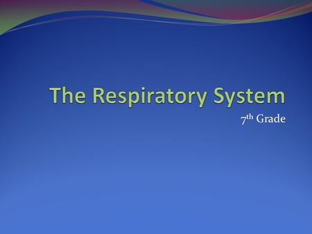 7 th Grade. The Respiratory System The system that exchanges oxygen and carbon dioxide You take 20 breaths per minute The lungs are very big organs but.