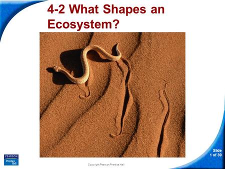 4-2 What Shapes an Ecosystem?