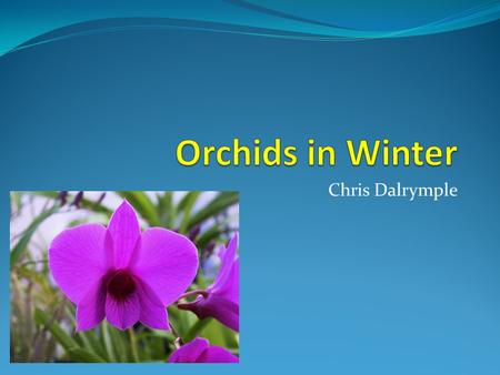 Chris Dalrymple. In the colder months, the requirements of orchids change Lower temperature Less light intensity Shorter days Less evapouration Slower.