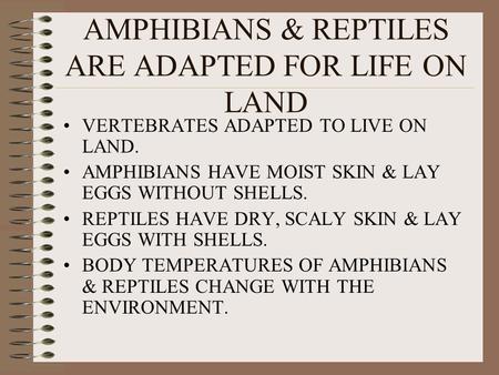 AMPHIBIANS & REPTILES ARE ADAPTED FOR LIFE ON LAND