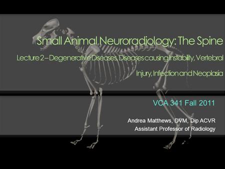 Small Animal Neuroradiology: The Spine Lecture 2 – Degenerative Diseases, Diseases causing Instability, Vertebral Injury, Infection and Neoplasia VCA.