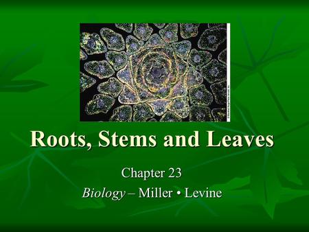 Chapter 23 Biology – Miller • Levine