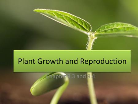 Plant Growth and Reproduction