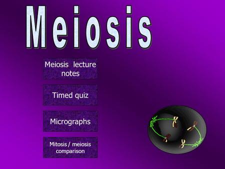 Meiosis Meiosis lecture notes Timed quiz Micrographs Mitosis / meiosis