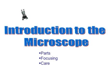  Parts  Focusing  Care Images Produced by Light Microscopes AmoebaStreptococcus bacteriaAnthrax bacteria Human cheek cells Plant cells Yeast cells.