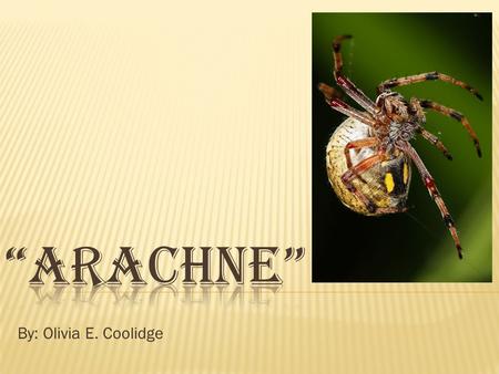 “Arachne” By: Olivia E. Coolidge.