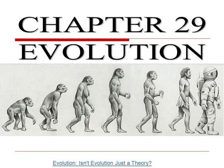 CHAPTER 29 EVOLUTION Evolution: Isn't Evolution Just a Theory?