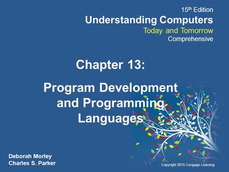 Program Development and Programming Languages