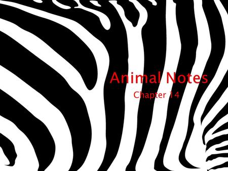 Chapter 14.  Animals are the kingdom of multicellular eukaryotes that consume or eat their food.  Animals are divided into 2 main groups ◦ Those with.