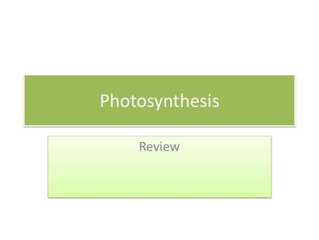 Photosynthesis Review.