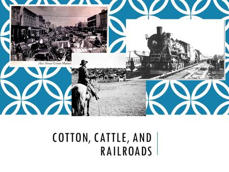 Cotton, Cattle, and Railroads