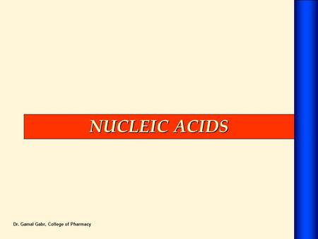 NUCLEIC ACIDS Dr. Gamal Gabr, College of Pharmacy.