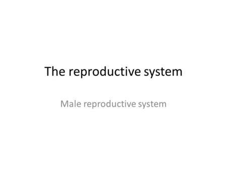 The reproductive system