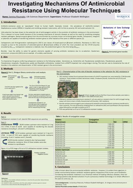 Investigating Mechanisms Of Antimicrobial Resistance Using Molecular Techniques Name: Semina Ploumakis; Life Sciences Department. Supervisors: Professor.