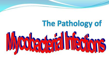 Mycobacteria... Physiology and Structure Weakly gram-positive, strongly acid-fast, aerobic rods Lipid-rich cell wall, making the organism resistant to.