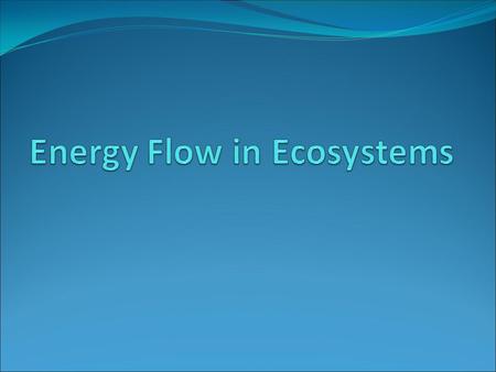 Energy Flow in Ecosystems