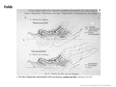 Folds “Mushroom fold” “Horizontal fold”