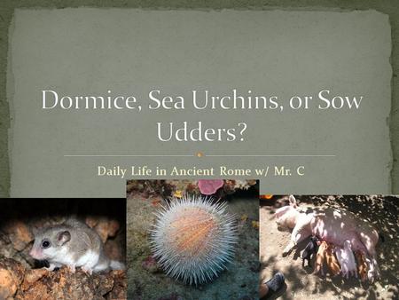 Daily Life in Ancient Rome w/ Mr. C. The Romans did not eat huge meals. Their main food was pottage. Pottage is a kind of thick stew made from wheat,