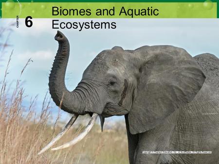 Biomes and Aquatic Ecosystems