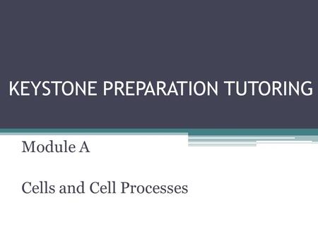 KEYSTONE PREPARATION TUTORING